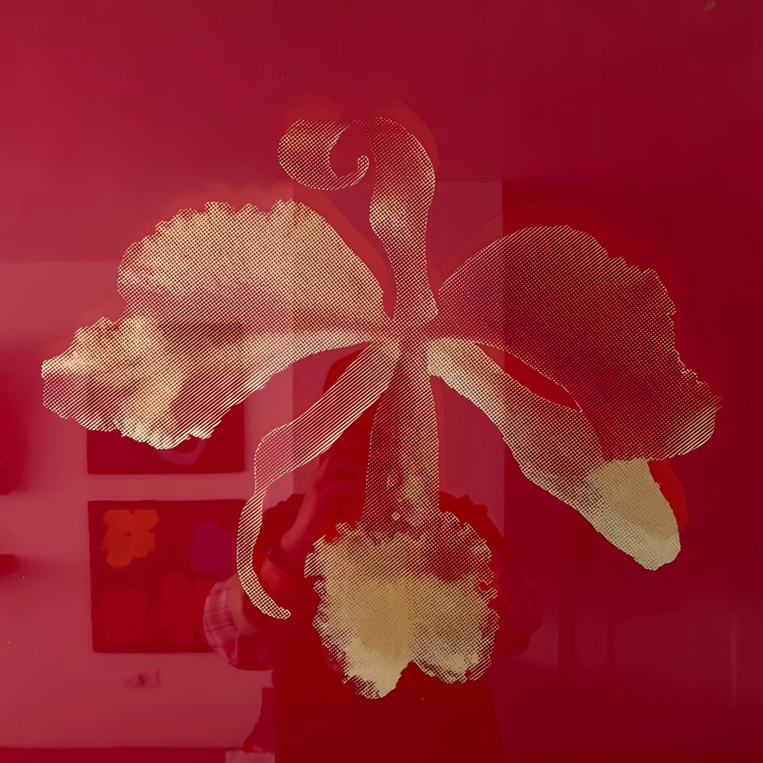 Orquídea y Diente de León · XIII